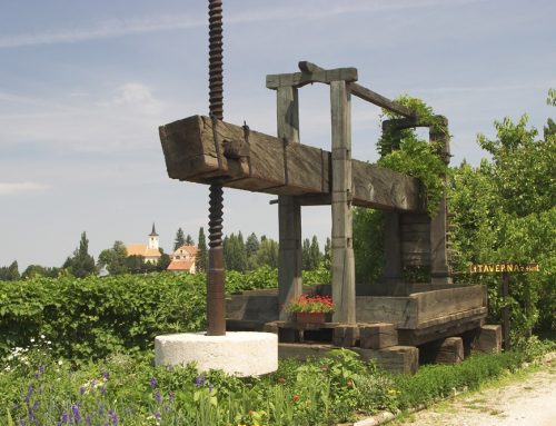 Wine Tasting v Jeruzalemu: Odkrijte nepoznano vinsko regijo v Sloveniji