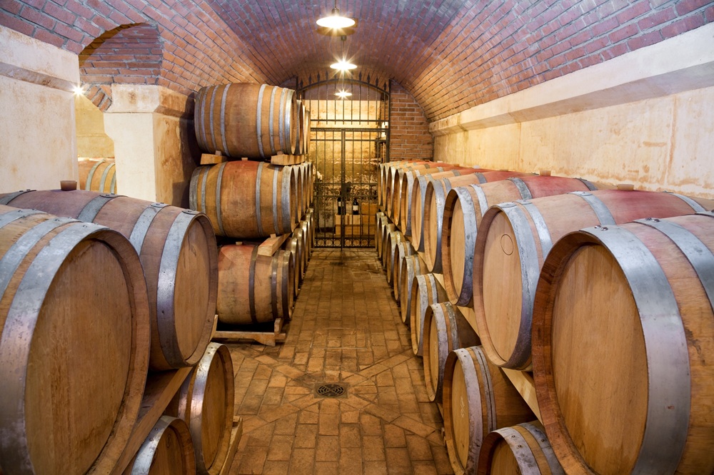 Wine Tasting - primer vinske kleti