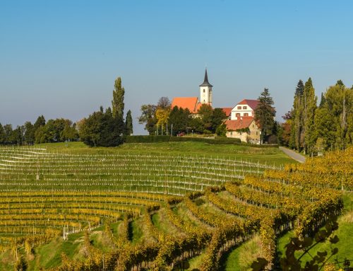 Wine Tasting v Jeruzalemu