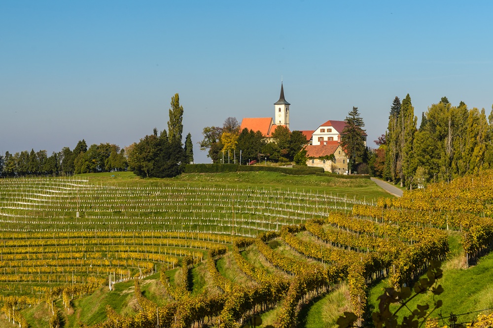 Wine Tasting v Jeruzalemu