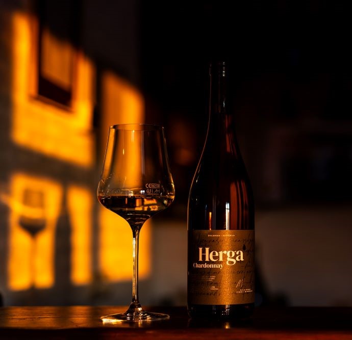 682ce92117fb3d6b4004a8a5_Herga vinoteka tasting 2