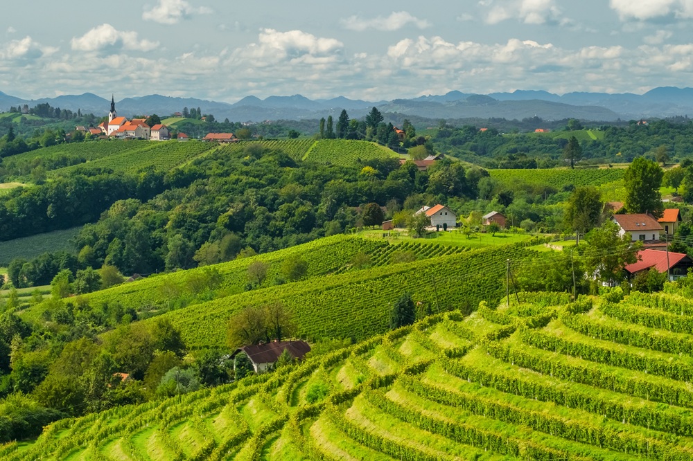 Festival vin Jeruzalem z bivanjem med vinogradi - Hero