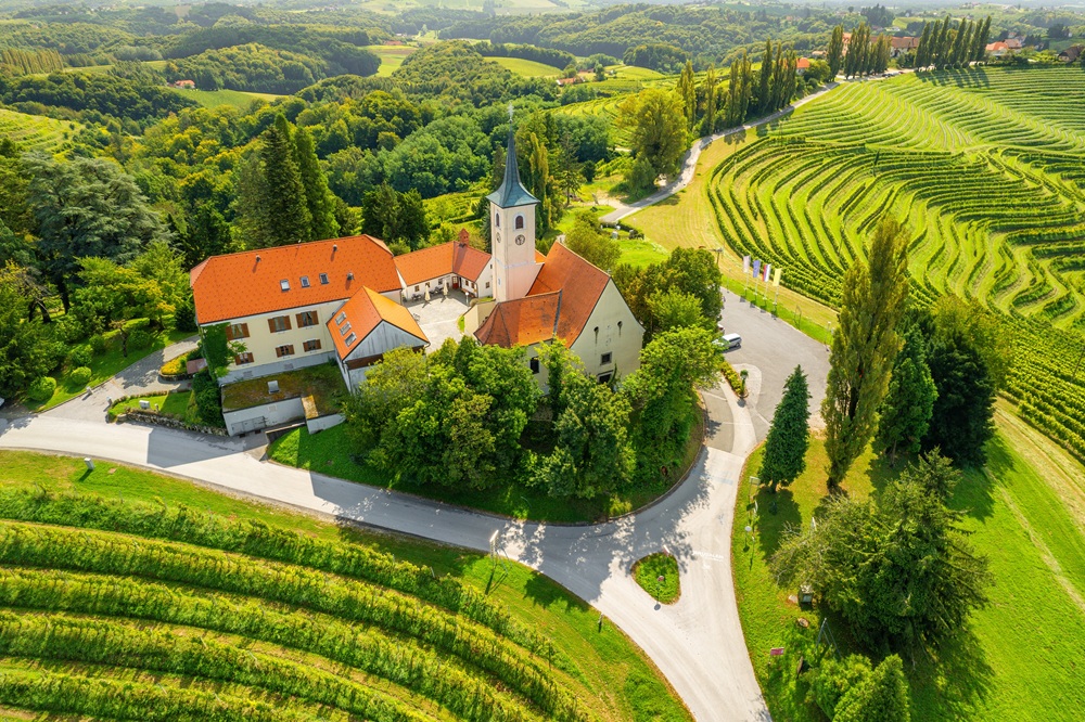 Festival vin Jeruzalem z bivanjem med vinogradi - kaj je festival vin KogVin