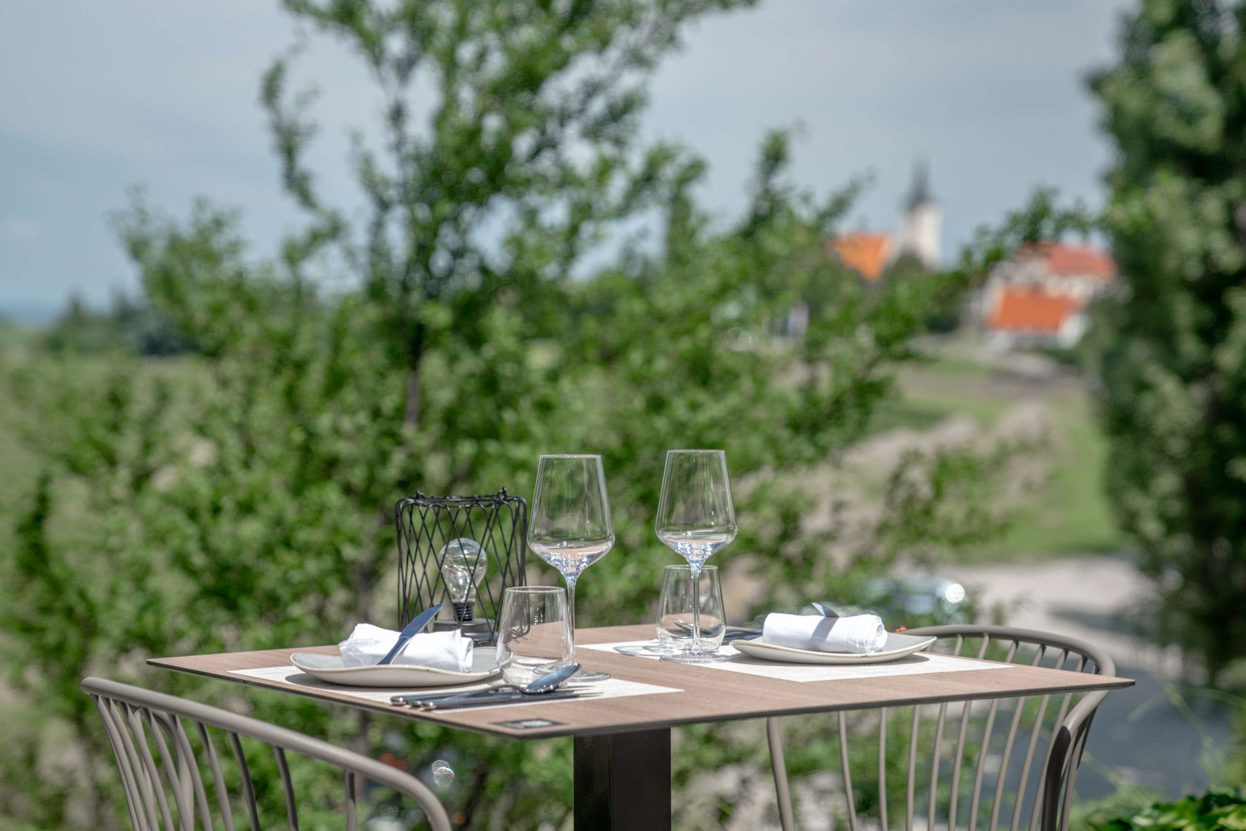 Sibone_zunaj-19 Sibon Wine & Spa Resort med vinogradi Jeruzalema poleti